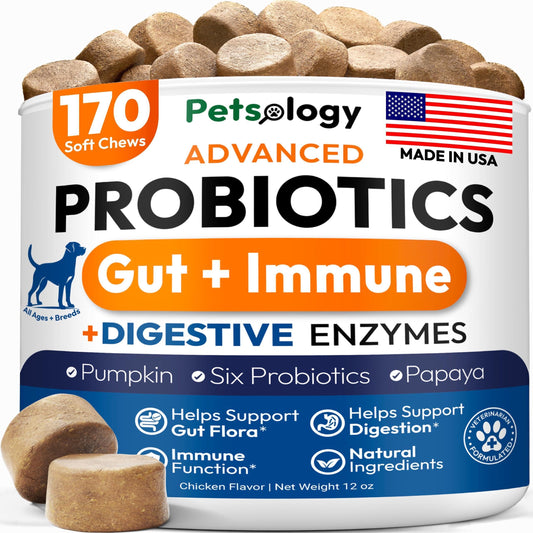 Advanced Probiotic Chews for Dogs - 170 Count, Digestive Enzymes and Prebiotic Support for Gut Health